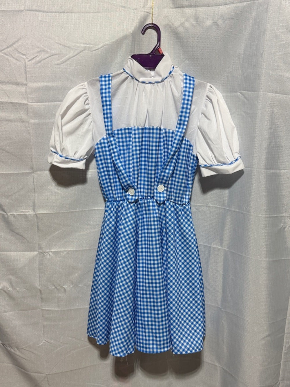 Rubie's Wizard of Oz Dorothy Costume